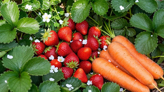 Grab Freshly Picked Discounts – Organic Baby Foods & Family Deals in the USA - JustBaby Luv