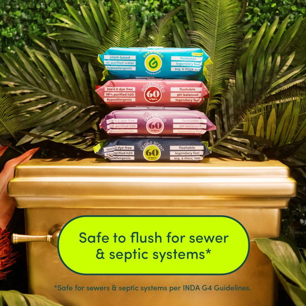 Goodwipes Flushable & Plant-Based Wipes with Botanicals | Dispenser for At-Home Use | Rosewater with Aloe Septic and Sewer Safe | 180 Count (3 Packs) - Biggest Adult Wipes