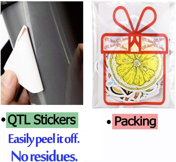 QTL VSCO Stickers for Teen Girls Cute Party Supplies Waterproof Vinyl Stickers for Hydroflask Laptop Gifts for Tween Girls 50Pcs