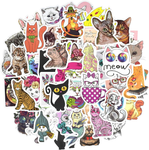 QTL VSCO Stickers for Teen Girls Cute Party Supplies Waterproof Vinyl Stickers for Hydroflask Laptop Gifts for Tween Girls 50Pcs