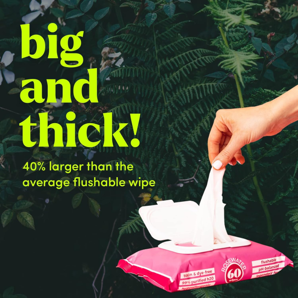 Goodwipes Flushable & Plant-Based Wipes with Botanicals | Dispenser for At-Home Use | Rosewater with Aloe Septic and Sewer Safe | 180 Count (3 Packs) - Biggest Adult Wipes