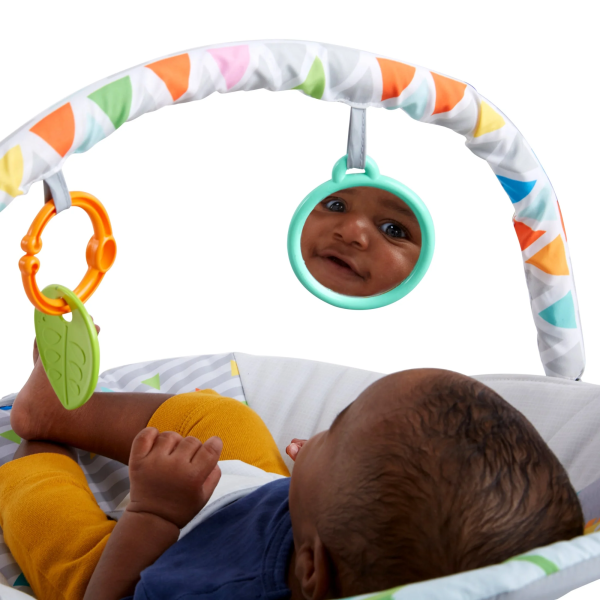 Bright Starts Vibrating Infant Baby Bouncer with Toy Bar, Safari Fun