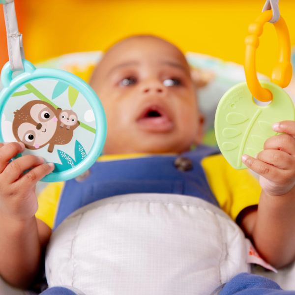Bright Starts Vibrating Infant Baby Bouncer with Toy Bar, Safari Fun