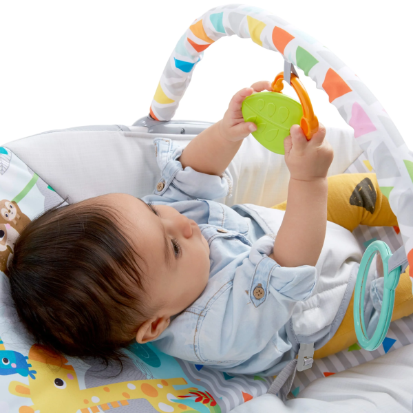 Bright Starts Vibrating Infant Baby Bouncer with Toy Bar, Safari Fun