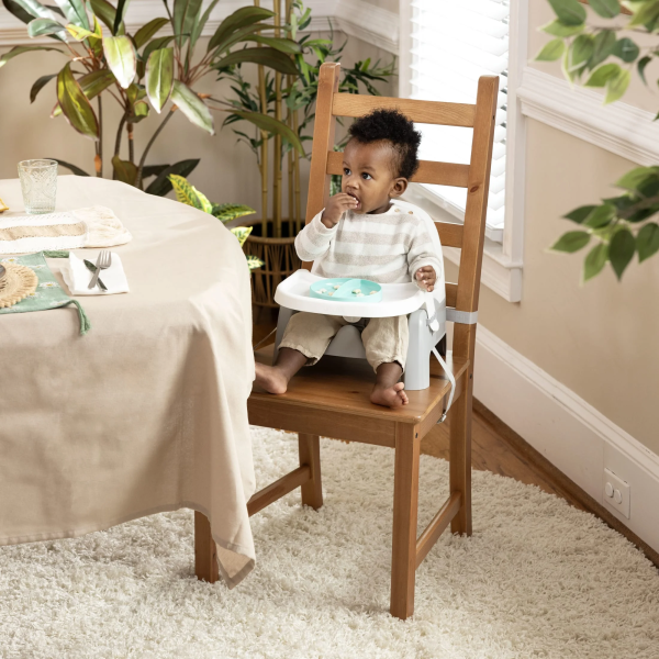 Ingenuity Deluxe Learn-To-Dine Feeding Seat, Ages 6 Months to 3 Years, Orange and Teal